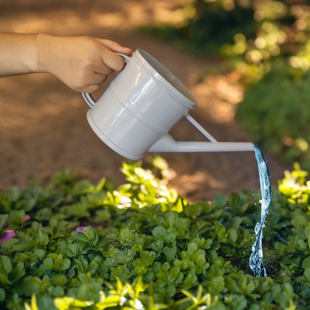 Watering Can