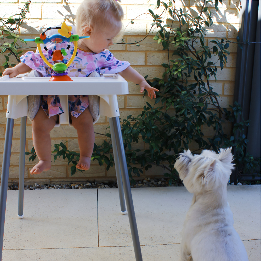 Playgro - High Chair Spinning Toy