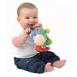 Playgro - Clip Clop Activity Rattle