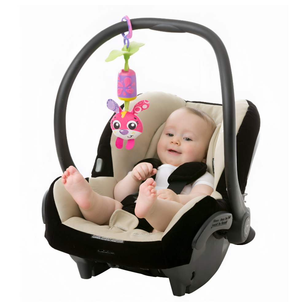 Playgro - Cheeky Chimes Sunny Bunny