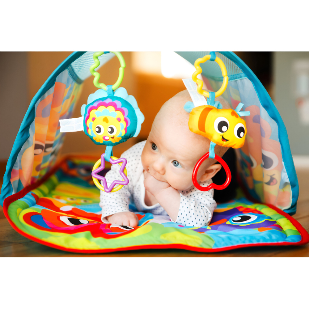 Playgro - Honey Bee Bear Activity Tunnel Gym