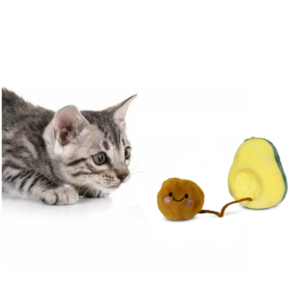 Avocado Pet Plush Toy