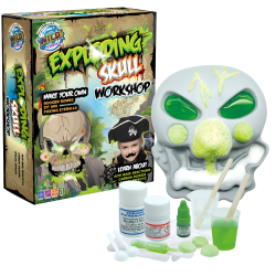  Wild Science - Exploding Skull Workshop Kit 