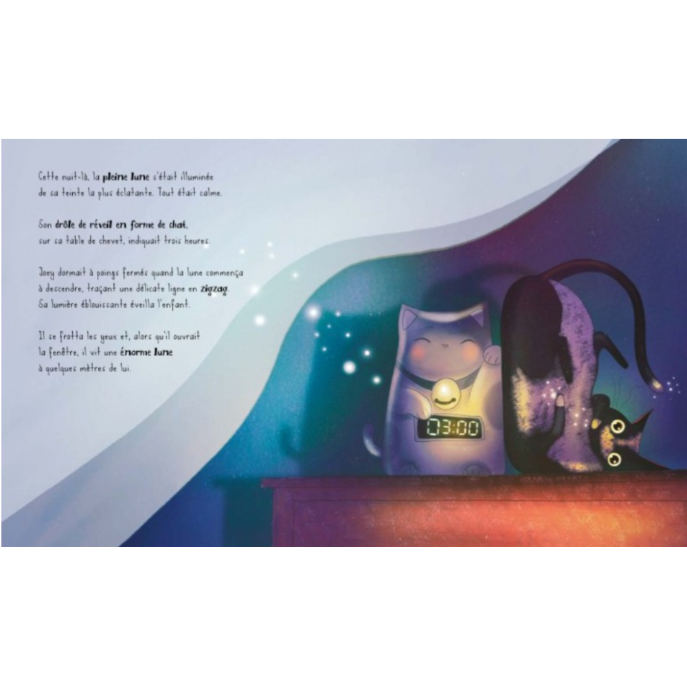 Sassi Books - Story and Picture Book - Joey et La Lune