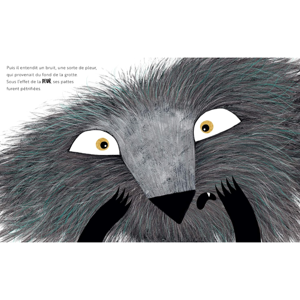 Sassi Books - Story and Picture Book -  Une Peur de Loup