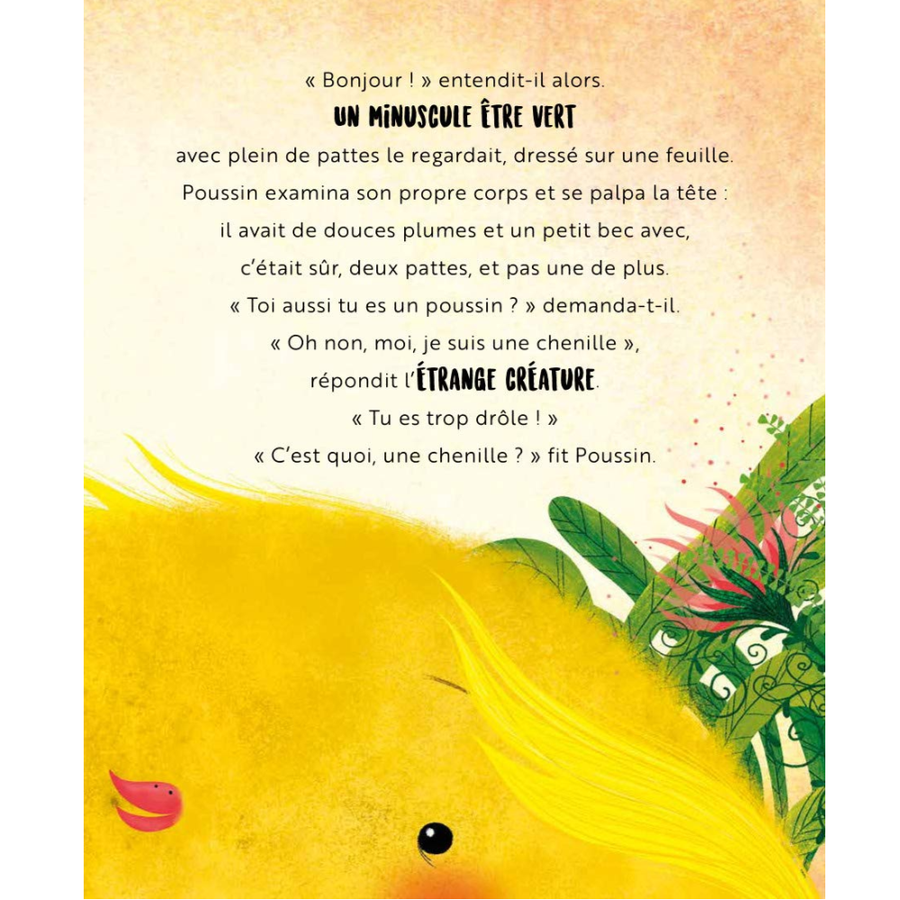 Sassi Books - Story and Picture Book -  Un Bonheur de Poussin