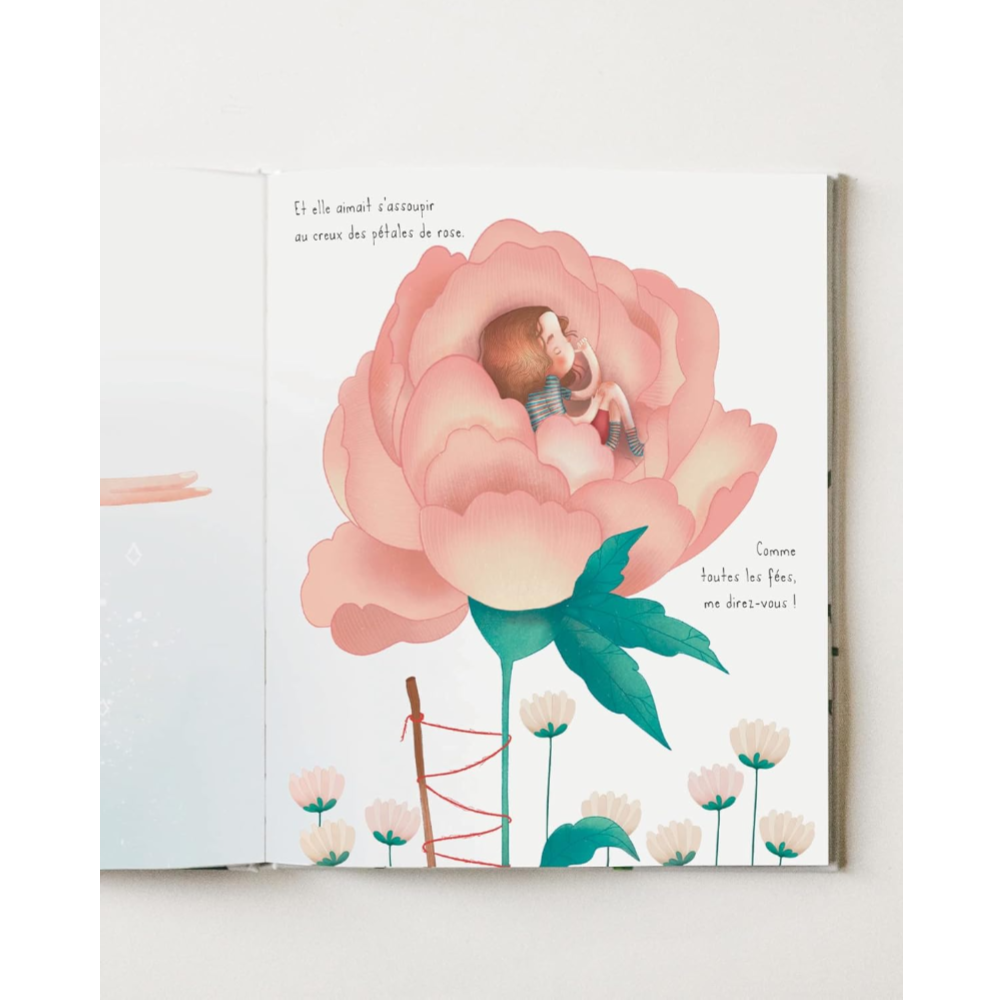 Sassi Books - Story and Picture Book -  Ailes de laine