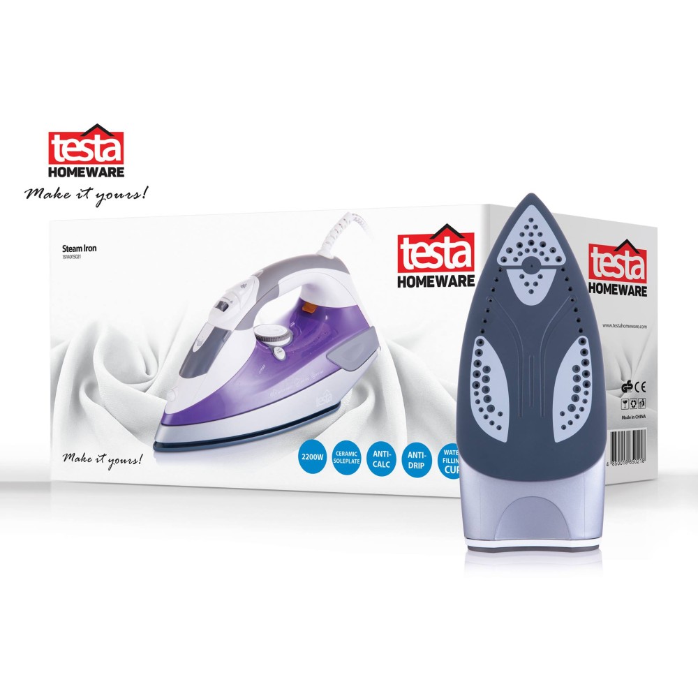 Testa Steam Iron 2