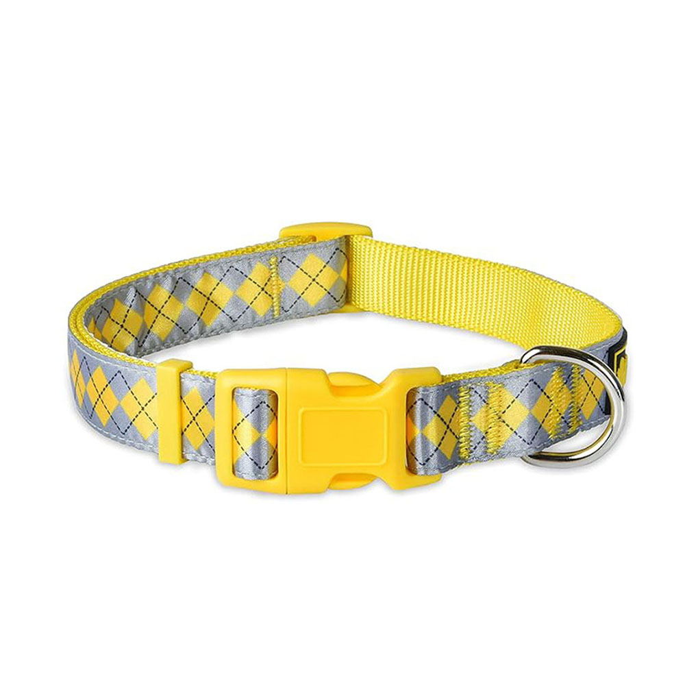 Dog Walkig Belt Medium