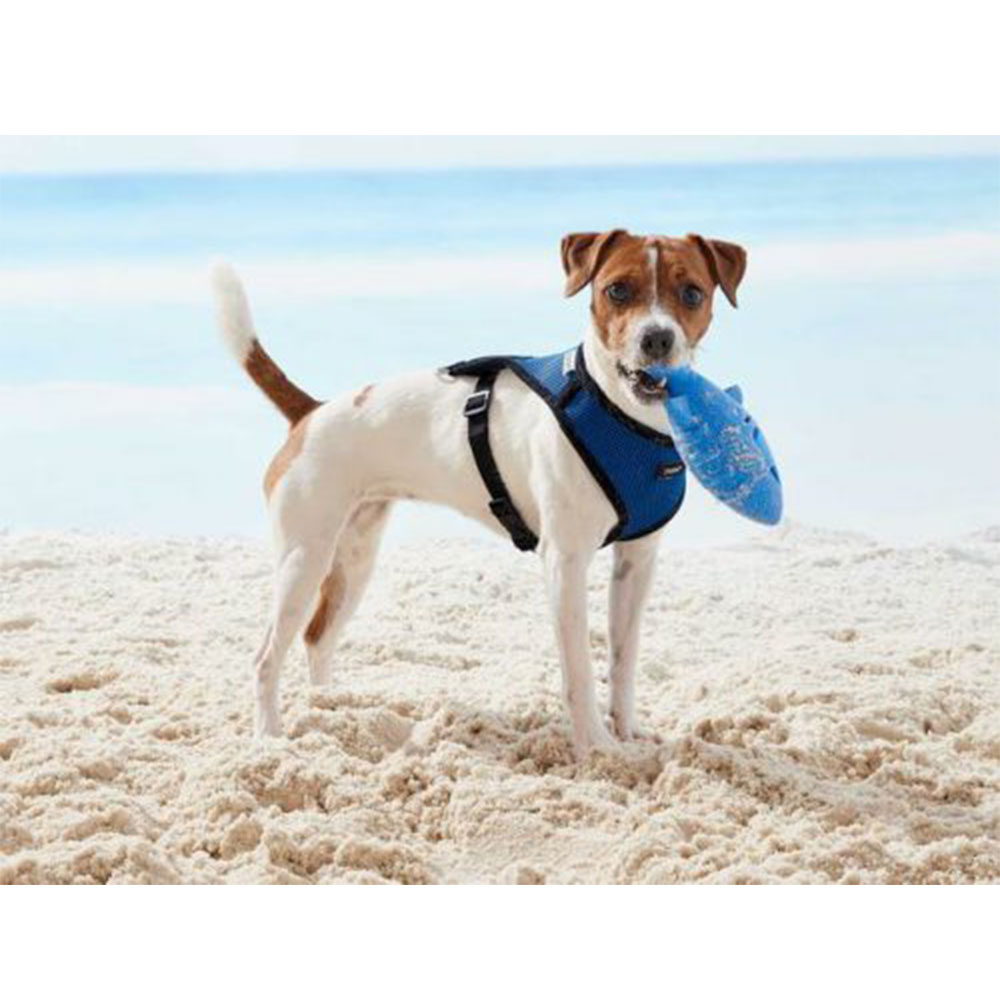 zoofari Dog Harness, with Fleece Trim