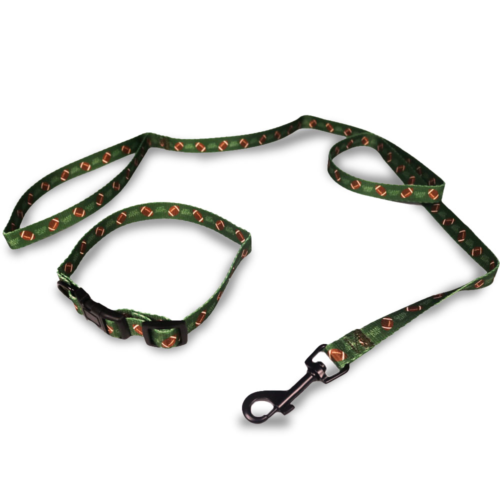 Dog Leash and Collar Set Large