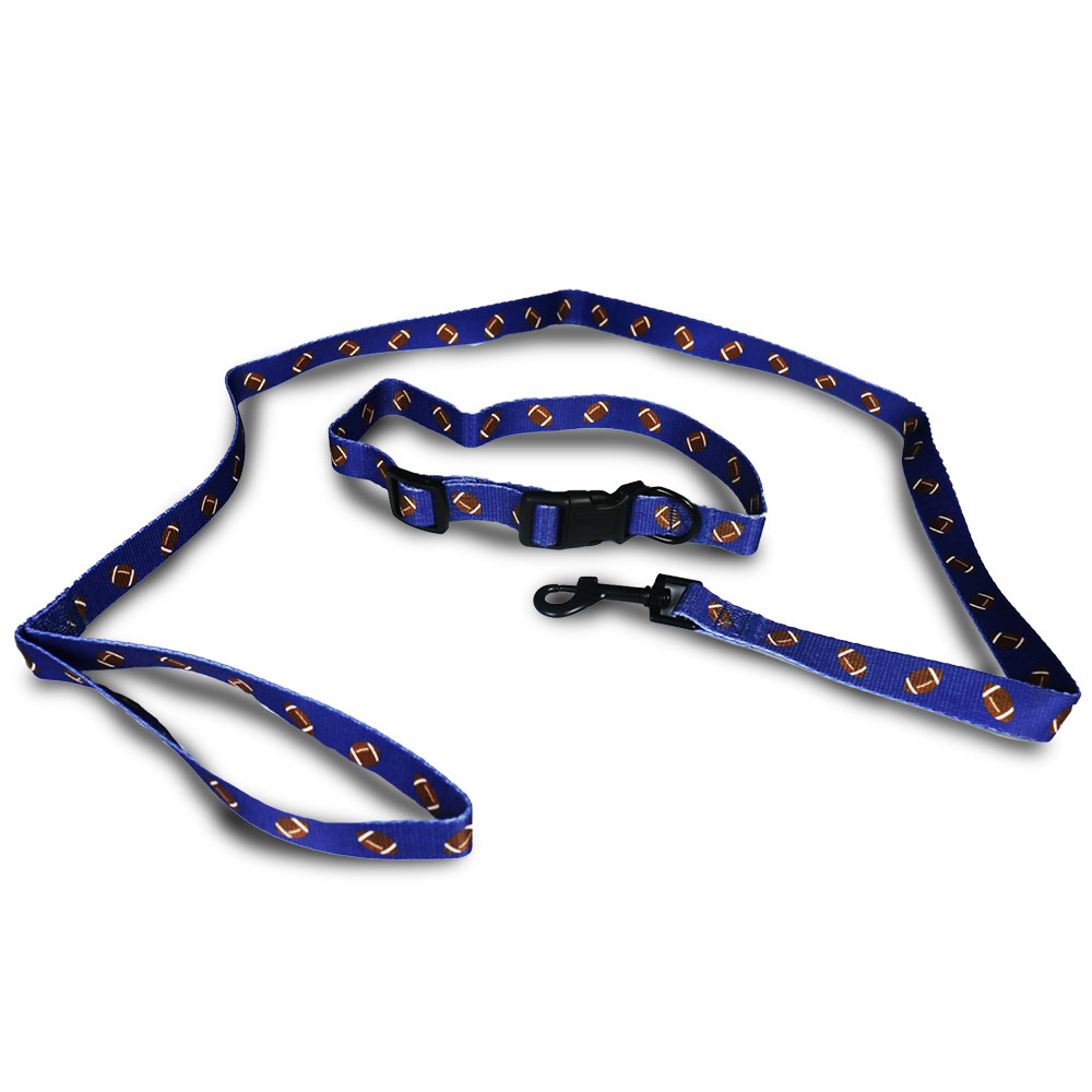 Dog Leash and Collar Set Medium