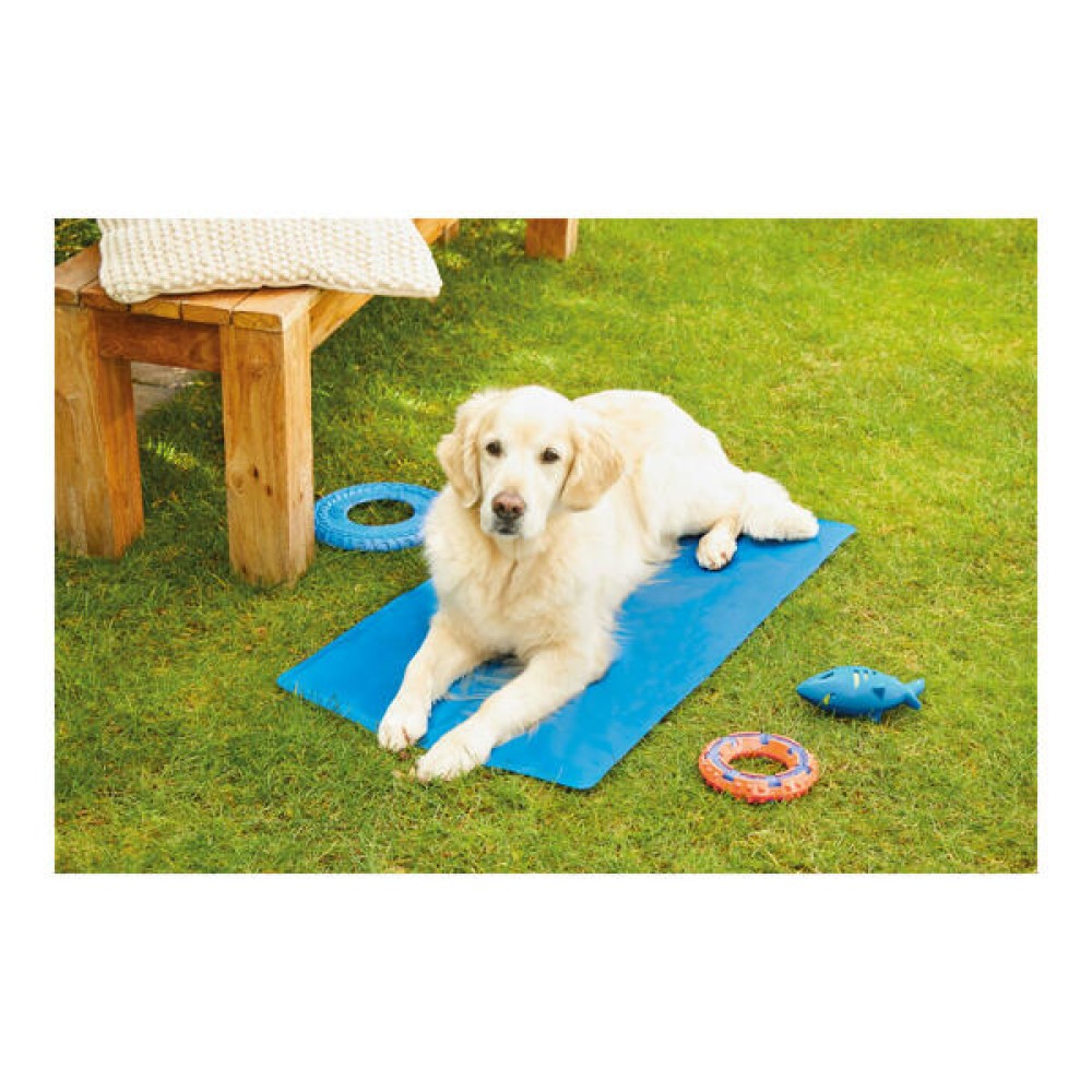 Zoofari Cooling Mats For Dog Color: blue