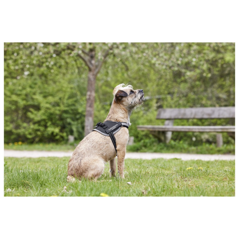 zoofari Dog Harness