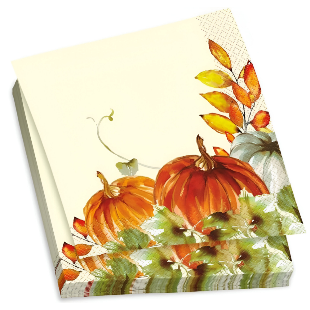 Unique Watercolor Fall Pumpkin Napkins 16ct - Large Size