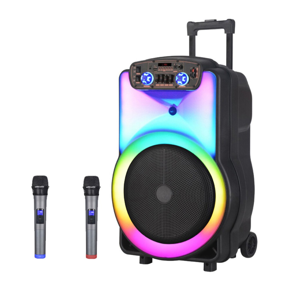 NDR Portable Wireless Party Speaker