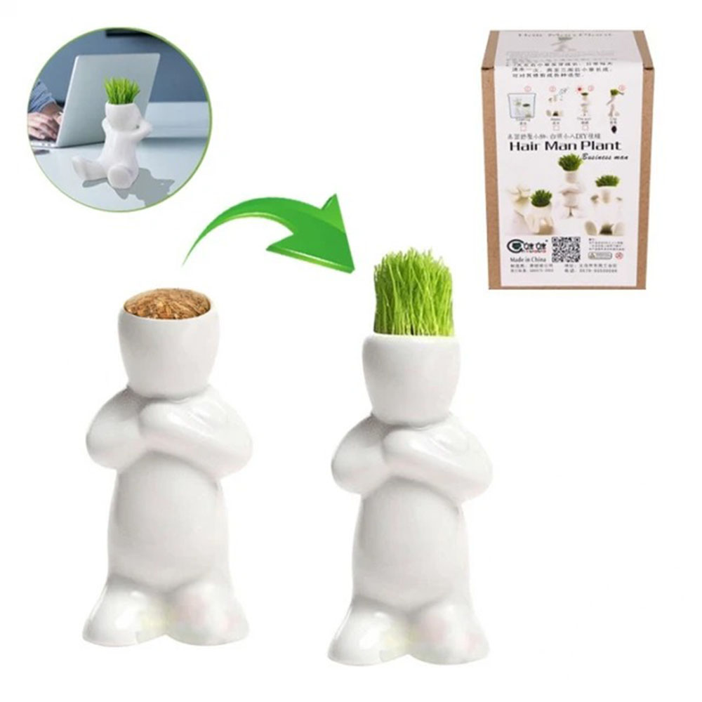 hair man plant Kung Full Mini White Grass Doll Hair Men Garden Plant Ceramic Bonsai Pots