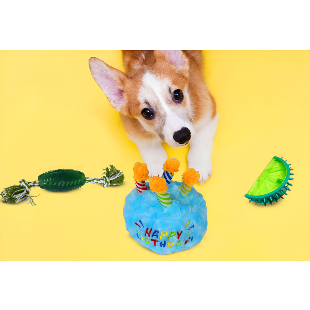 Dog chew toys