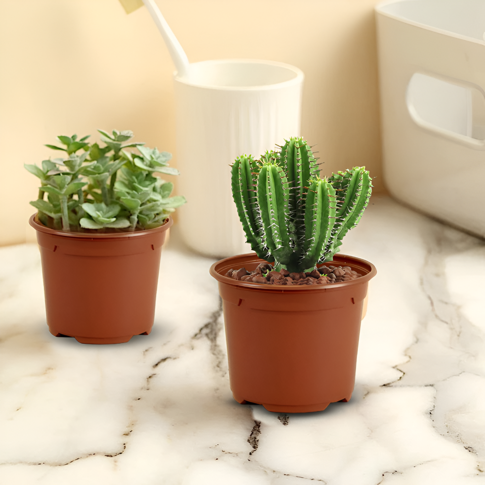 Mini Round Plant Pot - pack of 16 