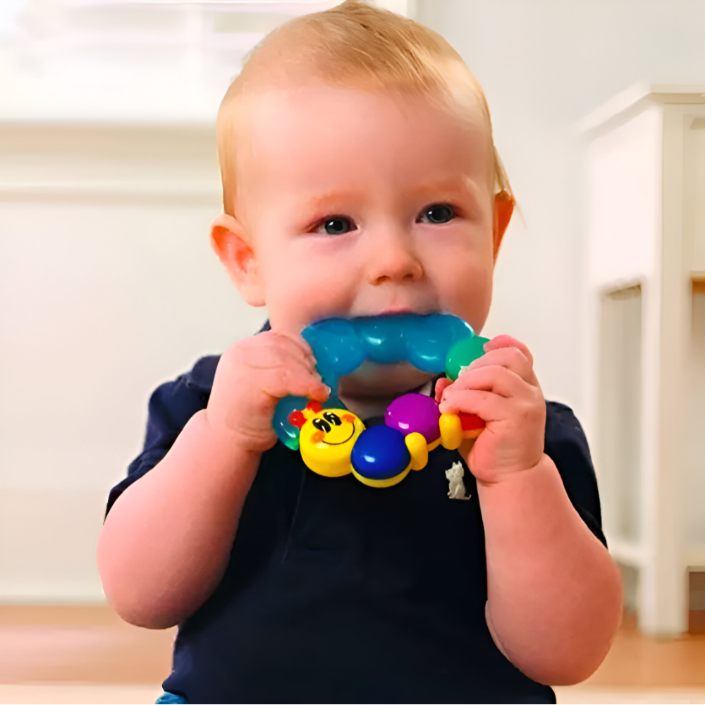 Hola Rattle Teether Fun 306D