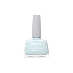 Seventeen Studio Rapid Dry Lasting Color No 179 12ml