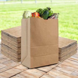 Purio-paper bag for bio waste