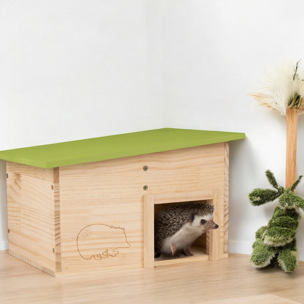 Zoofari - Hedgehog House