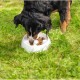 Dogit - Go-Slow! Anti Gulping Dish - M