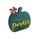 Hello Pumpkin - Wooden Decor