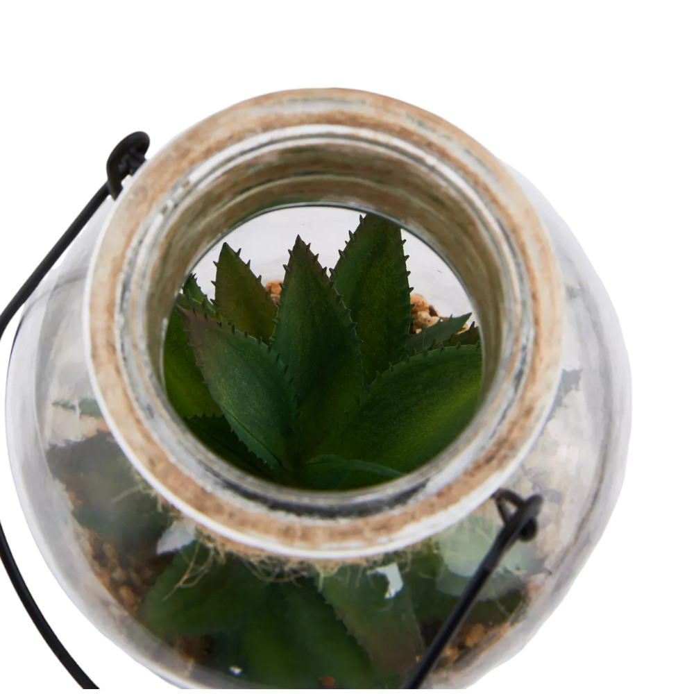 Max Home - Decorative Plant with Pot in Cylindrical Jar