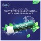 Vaseline mint lip care-Lips moisturiser 4.8g