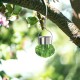 Livarno Home - LED Solar Outdoor Light (Green)