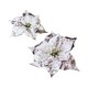 Livarno Home - Silver Clip-On Poinsettia Set of 2