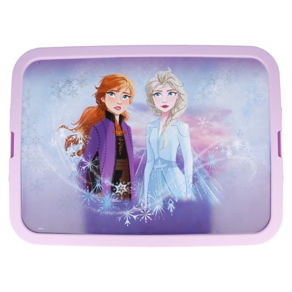 Disney Stor Storage Click Box 13L Frozen II, 3255