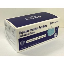 Disposable Protective Face Mask 