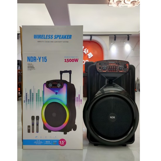 NDR Portable Wireless Party Speaker