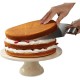 Stainless Steel Layer Cake Slicing