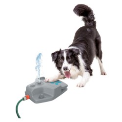 Zoofari Step-on Dog Water Fountain To Refresh 