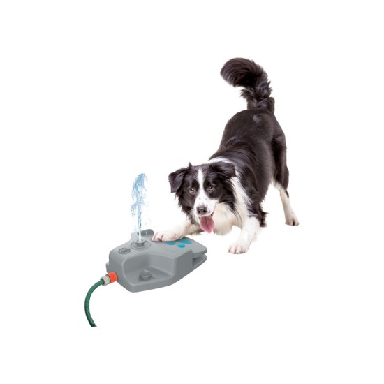 Zoofari Step-on Dog Water Fountain To Refresh 
