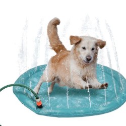 Zoofari Dog Splash Pad 