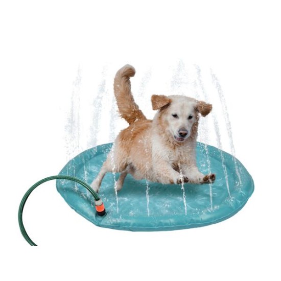 Zoofari Dog Splash Pad 