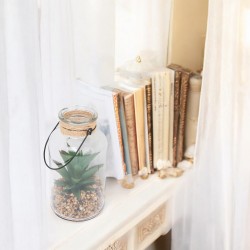 Max Home - Decorative Plant with Pot in Cylindrical Jar