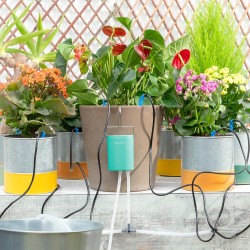 InnovaGoods Automatic Drip Watering System For Plant Pots Regott, V0103438, a smart and efficient way to keep plants hydrated without the need for constant attention