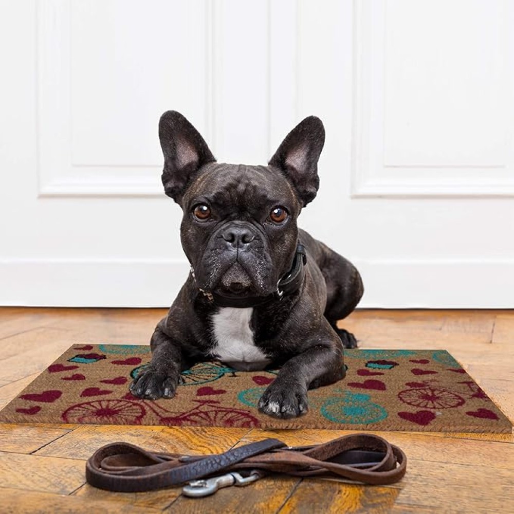 Printed Valentine's Delivery Coir Mat 18x28, Doormat 40X70 , lovely home 